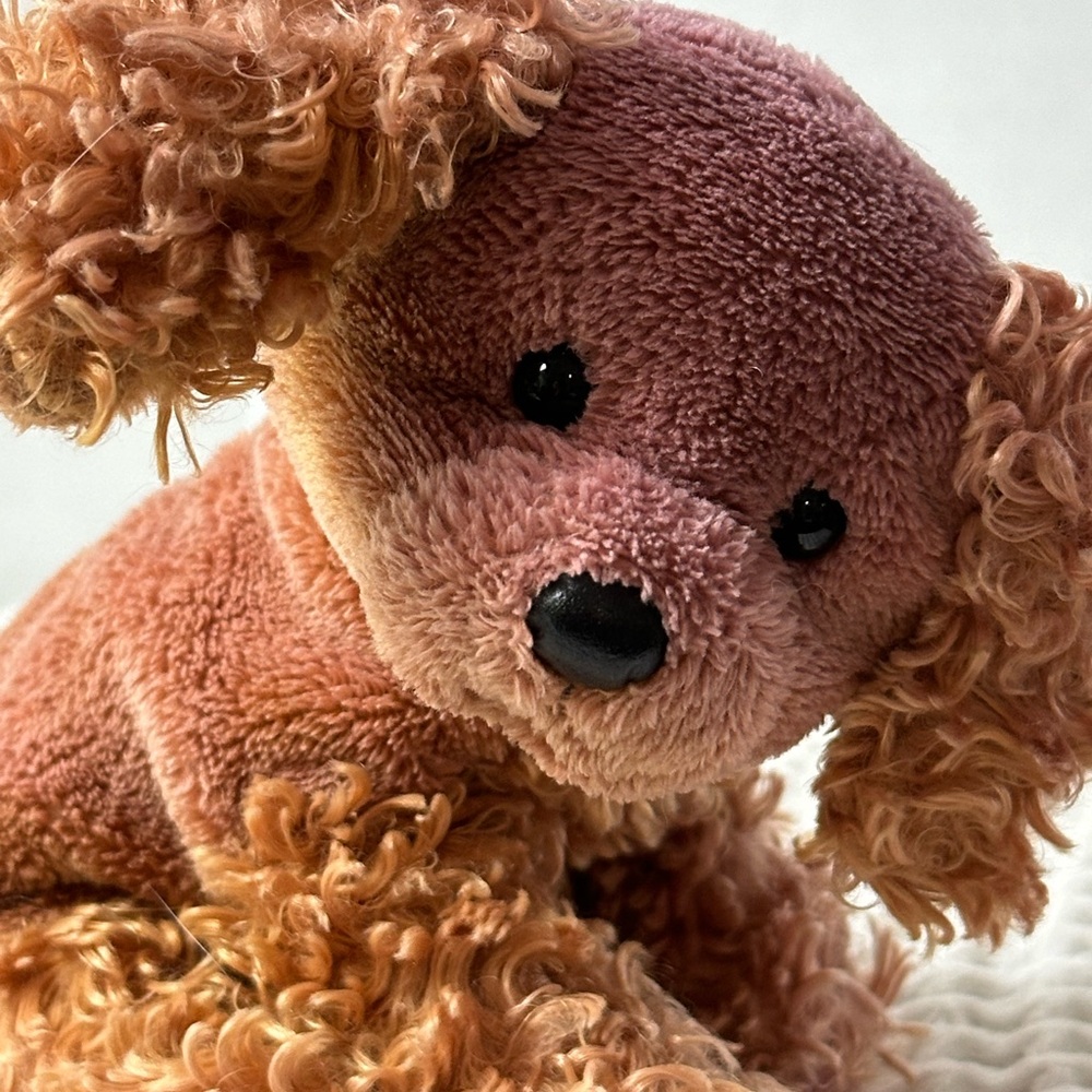 Ty Beanie Baby 2.0 Frolic Cocker Spaniel Puppy Dog NO TAG CODE‎ Plush Stuffed